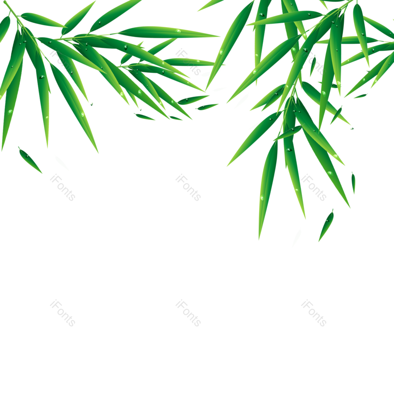 叶子图片,端午元素,竹叶PNG,树叶免抠素材